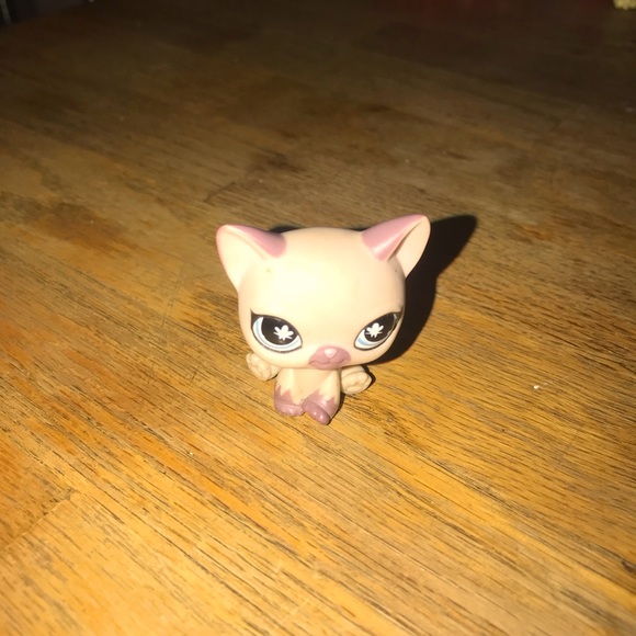 Hasbro Other - COPY - Lps littlest pet shop sitting shorthair cat